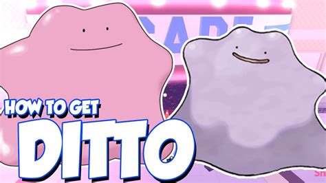 ditto hidden ability.